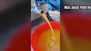 বাণিজ্যিক ব্যবহারের জন্য শক্তিশালী হাইড্রোলিক জুসার